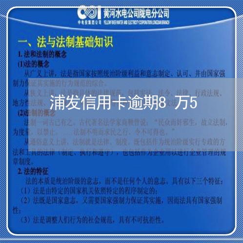 浦发信用卡逾期8万5/2023121672695