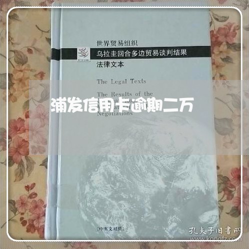 浦发信用卡逾期二万/2023061171604