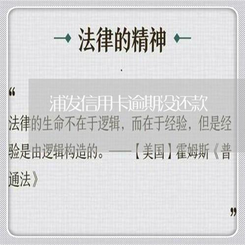 浦发信用卡逾期没还款/2023100771591