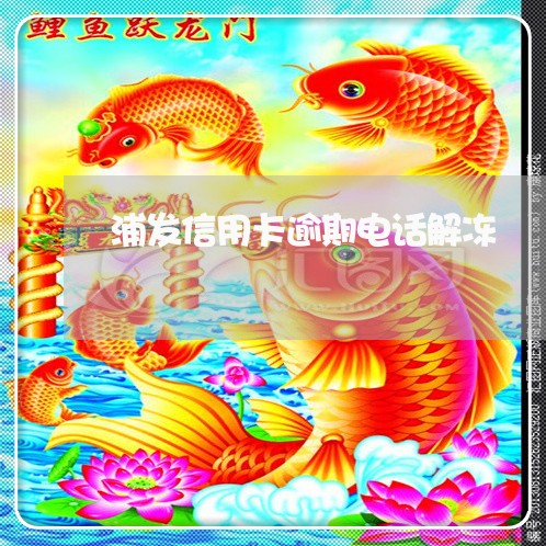 浦发信用卡逾期电话解冻/2023100560794