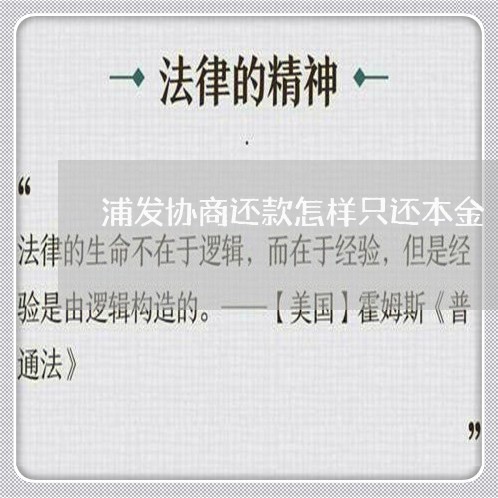 浦发协商还款怎样只还本金/2023100671583