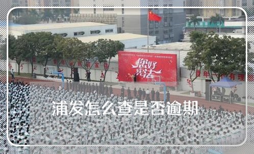 浦发怎么查是否逾期/2023061006249