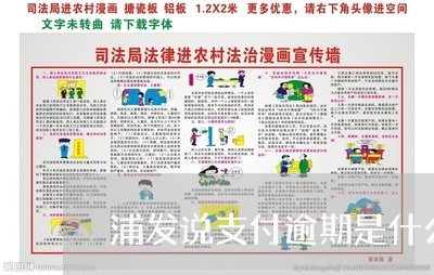 浦发说支付逾期是什么意思/2023052886168