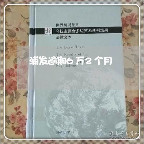 浦发逾期6万2个月/2023060919605