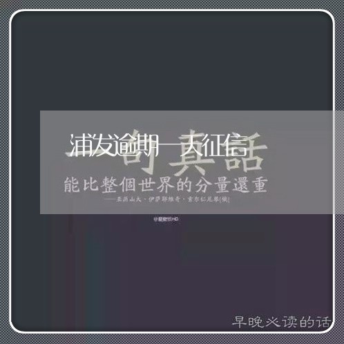 浦发逾期一天征信/2023062893920