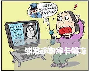 浦发逾期停卡解冻/2023062836370