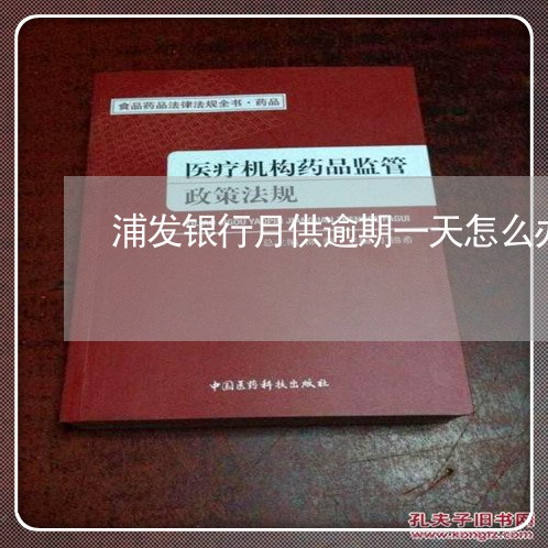 浦发银行月供逾期一天怎么办/2023091627261