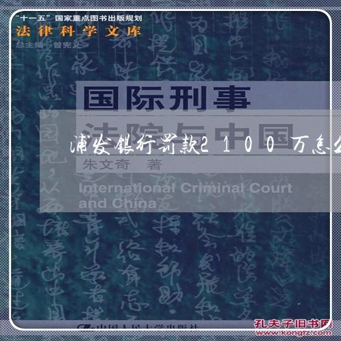 浦发银行罚款2100万怎么办/2023080545936