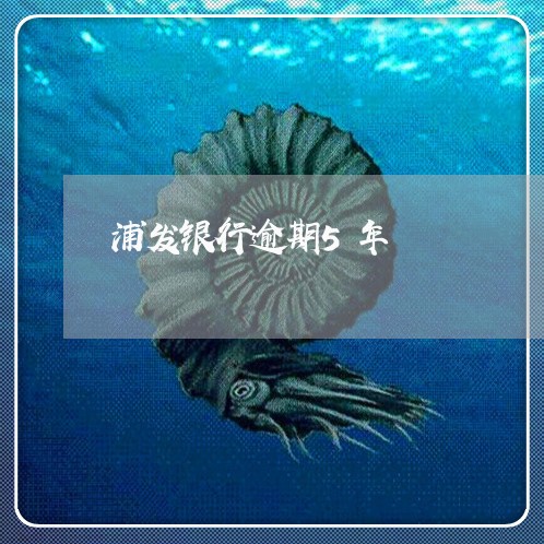 浦发银行逾期5年/2023081337148