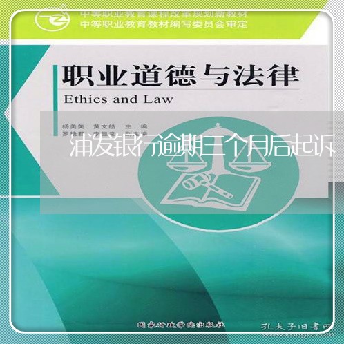 浦发银行逾期三个月后起诉/2023052891836