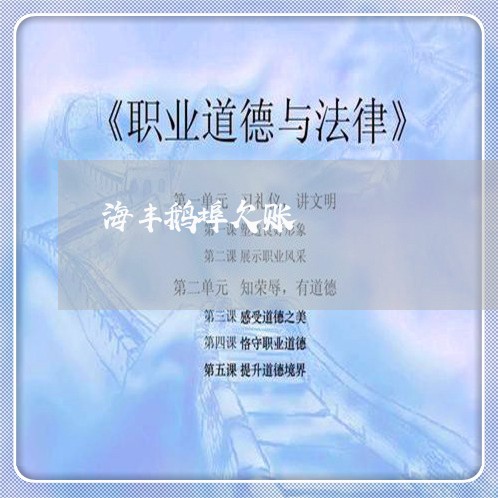 海丰鹅埠欠账/2023121761404