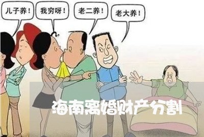 海南离婚财产分割/2023093095934