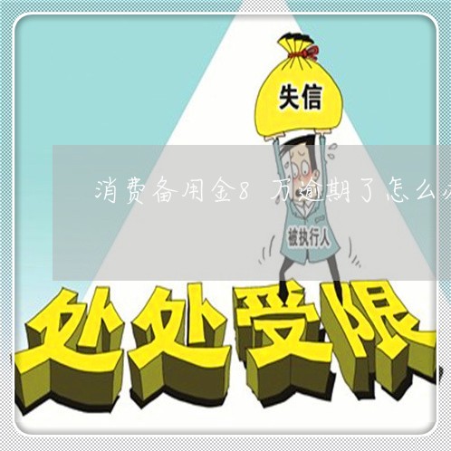 消费备用金8万逾期了怎么办/2023072381581