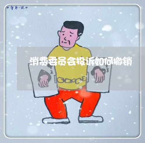 消费委员会投诉如何撤销/2023030716502