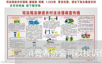 消费者协会可以投诉什么内容/2023032450383