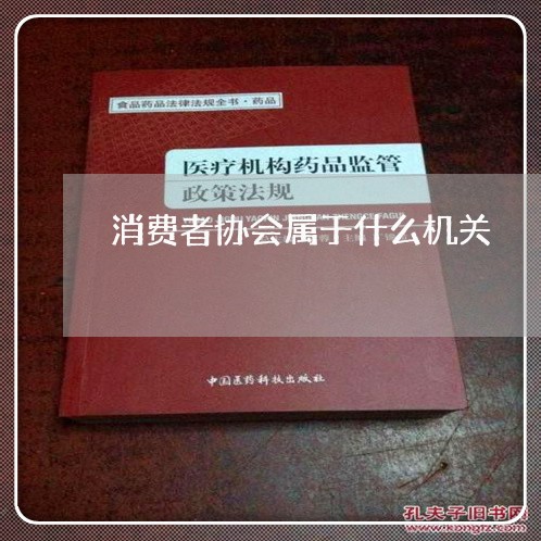 消费者协会属于什么机关/2023062687283