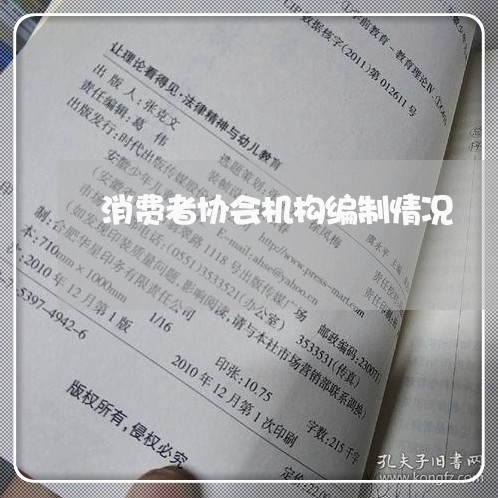 消费者协会机构编制情况/2023062725168