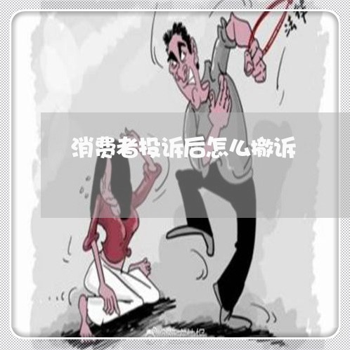 消费者投诉后怎么撤诉/2023021990395