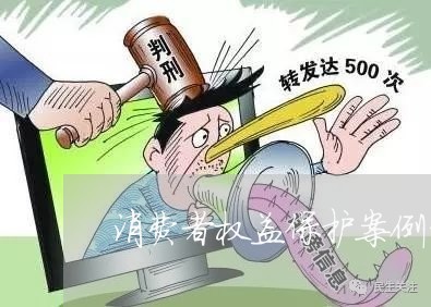 消费者权益保护案例书籍分析/2023032537051