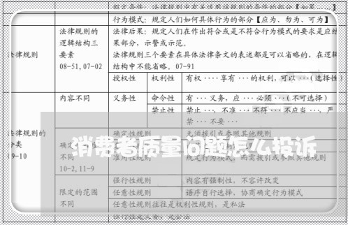 消费者质量问题怎么投诉/2023022150705