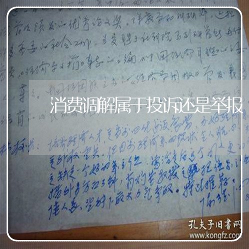 消费调解属于投诉还是举报/2023030671603