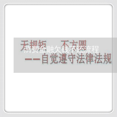 消费金融欠钱不还流程/2023101727371