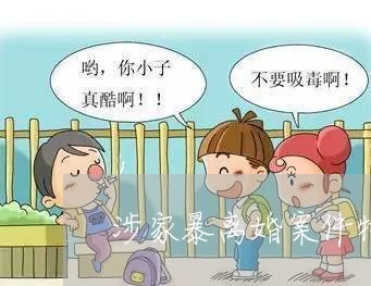 涉家暴离婚案件特点/2023110302693