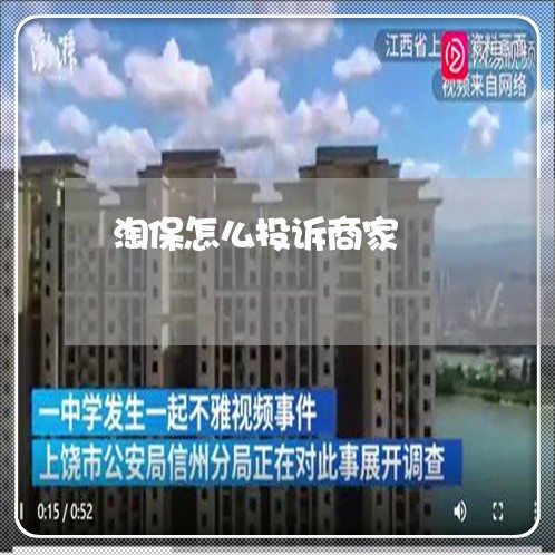 淘保怎么投诉商家/2023033001824