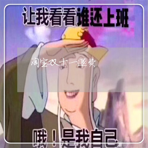 淘宝双十一退费/2023042194858