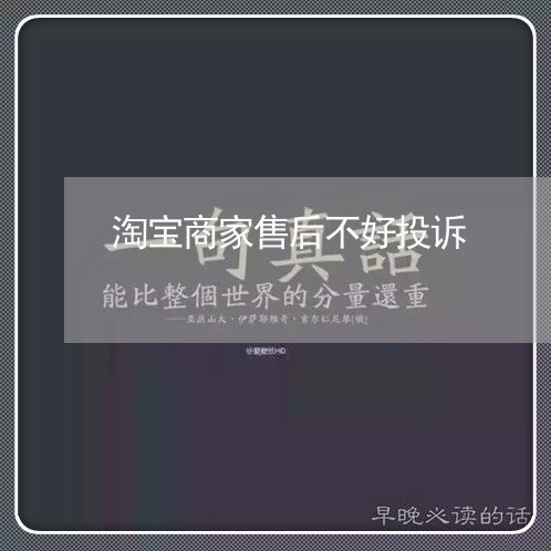 淘宝商家售后不好投诉/2023022872604