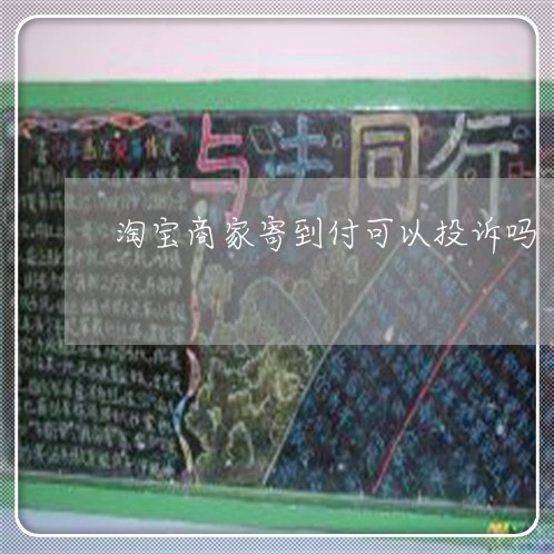 淘宝商家寄到付可以投诉吗/2023022363926