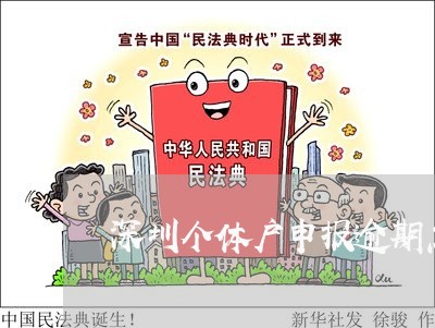 深圳个体户申报逾期怎么办/2023091593825