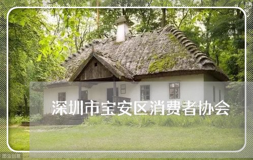 深圳市宝安区消费者协会/2023061531404