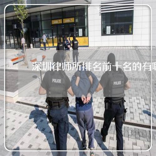 深圳律师所排名前十名的有哪些/2023040238479