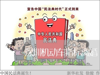 深圳机动车指标离婚/2023110400605