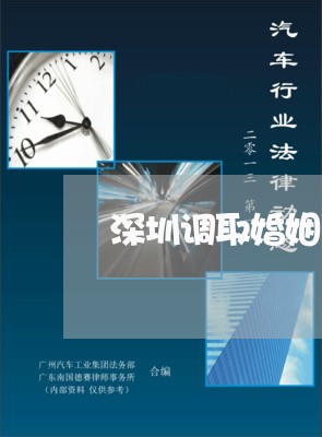 深圳调取婚姻登记信息/2023112775827