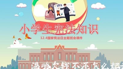 温岭欠钱不还怎么起诉/2023111431202