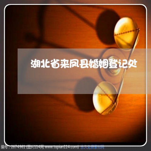 湖北省来凤县婚姻登记处/2023112828193