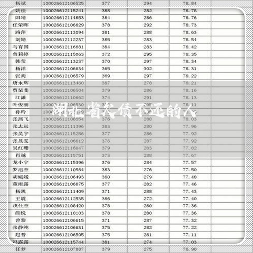 湖北省欠债不还的人/2023102594794