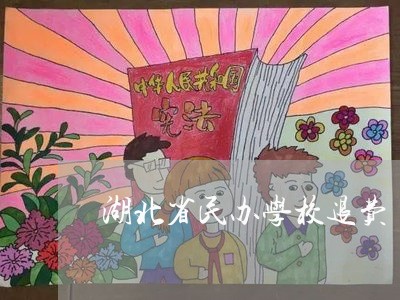 湖北省民办学校退费/2023061062602