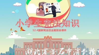 湖北省黄石市消费投诉/2023030808252