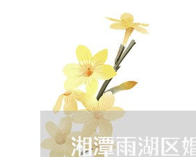 湘潭雨湖区婚姻登记处营业时间/2023112747371