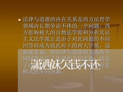 潇洒妹欠钱不还/2023111061724