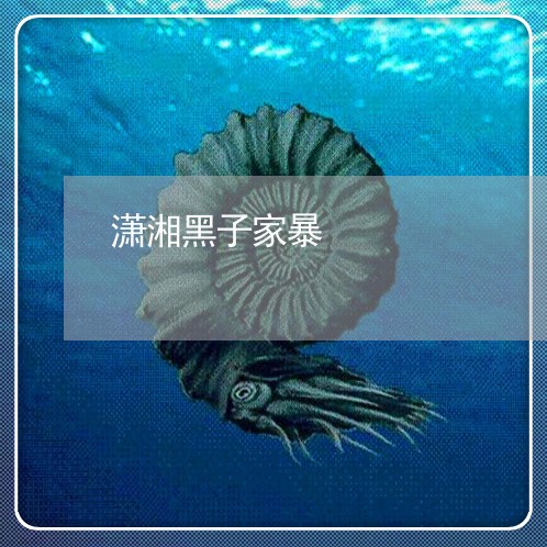 潇湘黑子家暴/2023082419372