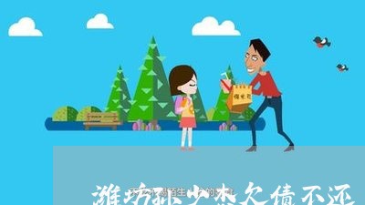 潍坊孙少杰欠债不还/2023111004028