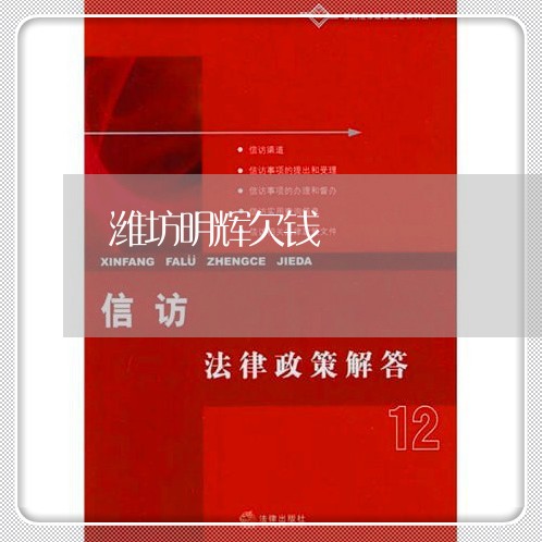 潍坊明辉欠钱/2023121947359