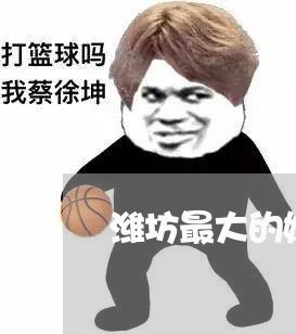 潍坊最大的婚姻登记中心/2023112729261