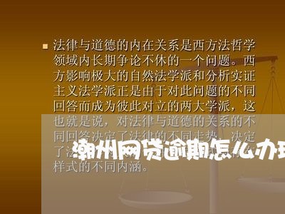 潮州网贷逾期怎么办理还款/2023110620516