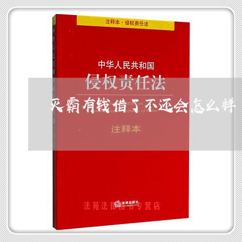 灭霸有钱借了不还会怎么样/2023120538371