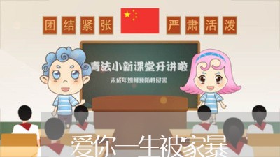 爱你一生被家暴/2023090954838